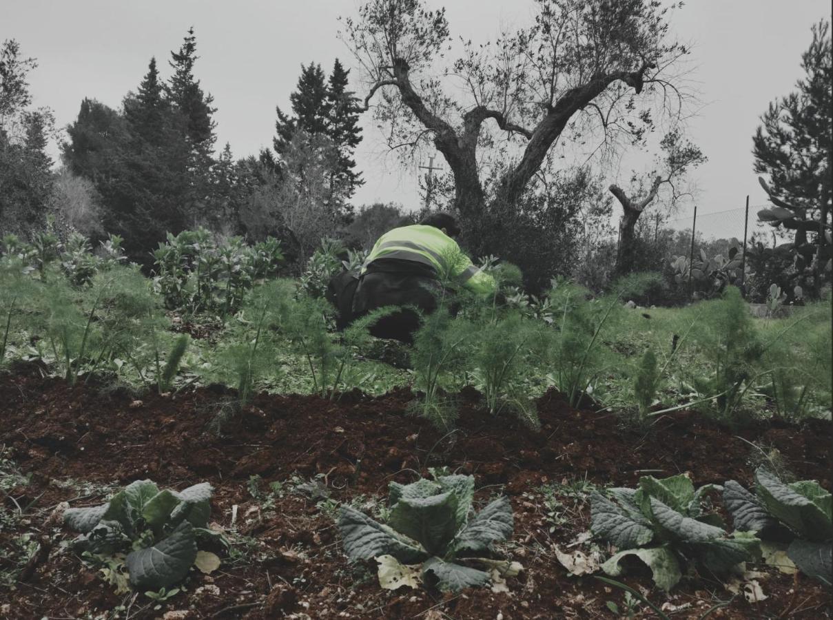 Salento Home Farm Bagnolo del Salento ภายนอก รูปภาพ
