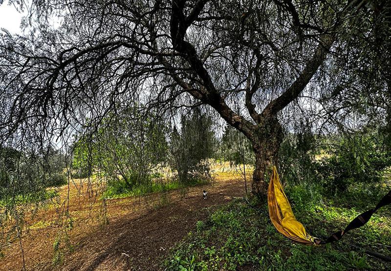 Salento Home Farm Bagnolo del Salento ภายนอก รูปภาพ